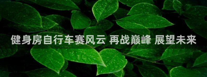 云顶集团最新官方网站